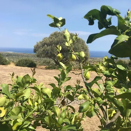 Agriturismo Su Nuragheddu * Galtellì