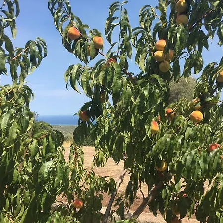 Séjour à la ferme Agriturismo Su Nuragheddu Galtellì