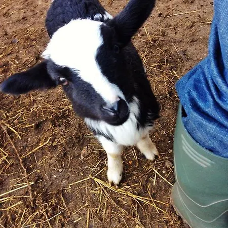 Agriturismo Su Nuragheddu Farm stay *