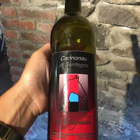 Agriturismo Su Nuragheddu Galtelli