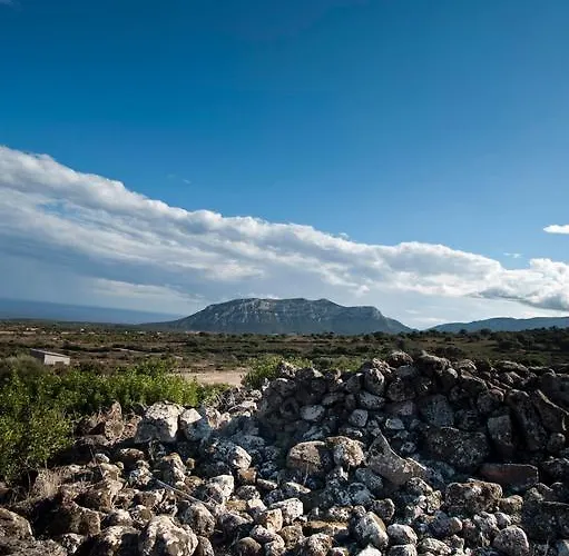 ファームステイ Su Nuragheddu