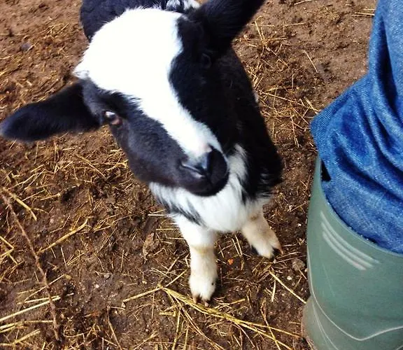 Su Nuragheddu ファームステイ *