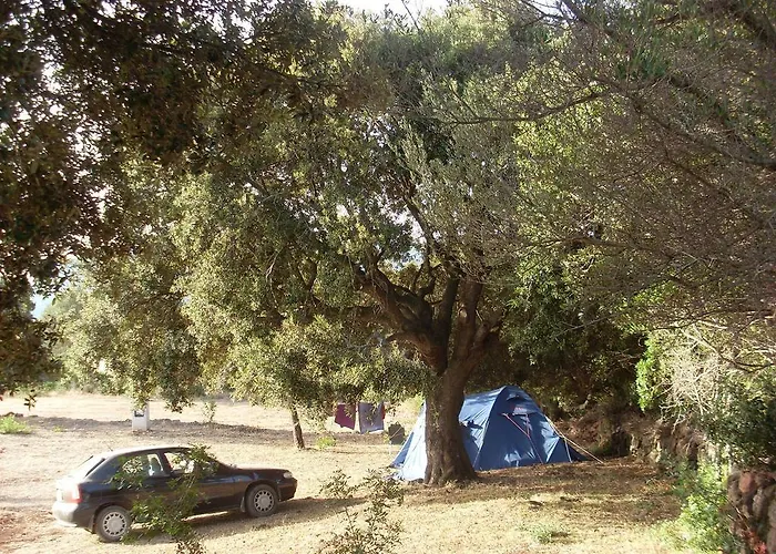 Su Nuragheddu Galtellì