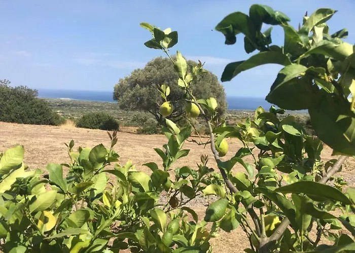 Su Nuragheddu * Galtellì