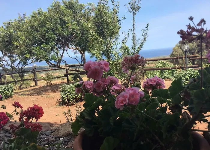 Su Nuragheddu ファームステイ Galtellì