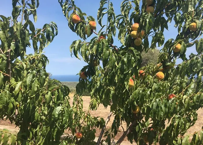 ファームステイ Su Nuragheddu Galtellì